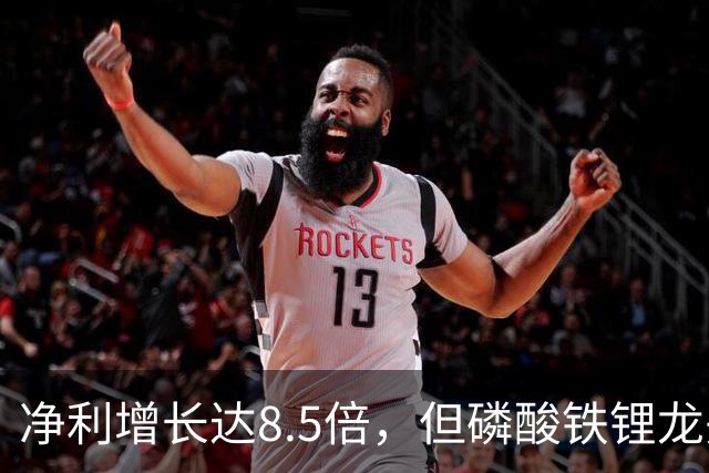 净利增长达8.5倍，但磷酸铁锂龙头公司股价重挫超9%